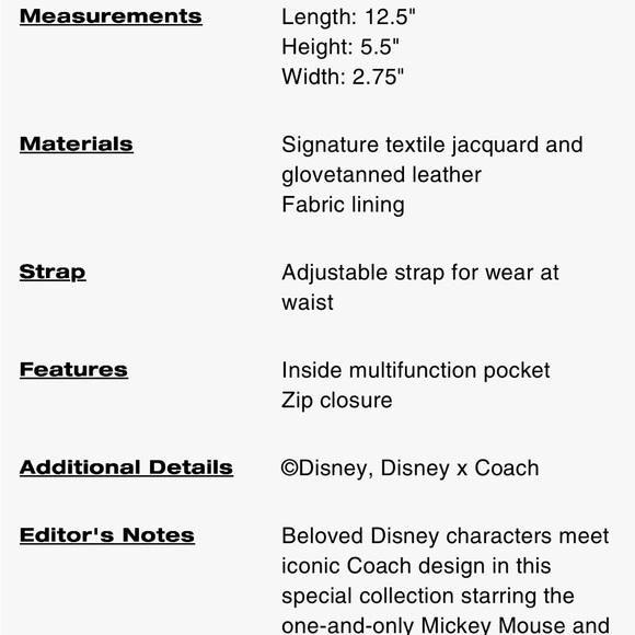 Coach Crossbody Bag with Disney Patches - Brown and Cream - Picture 14 of 15